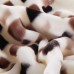 Best Sale Stock Super Soft Thick Fleece Blankets 100% Polyester Mink Moving Throw Blanket for Home Decor